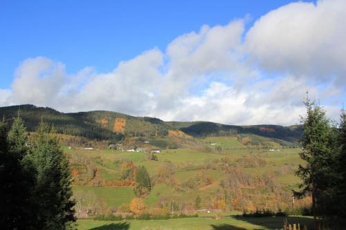 Le Bonhomme Apartment | Gîte Les Jonquilles IV