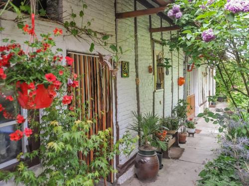 Steenvoorde House | Gîte paisible avec jardin clos, Wi-Fi et animaux acceptés - FR-1-510-236