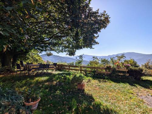 Fresse-sur-Moselle House | Gîte rural Vosges, 6 pers., WiFi, parking, vélos bienvenue - FR-1-589-760