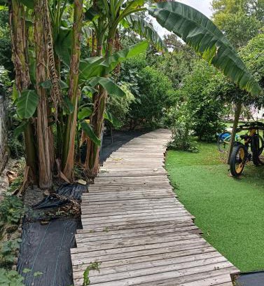 Saumur House | Gîtes citadin avec jardin arboré