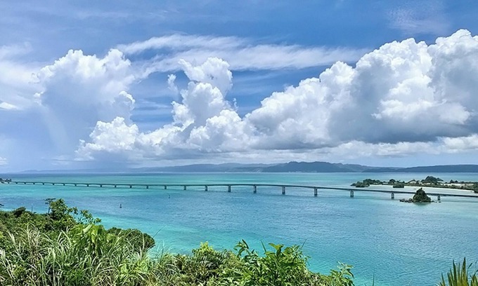 Nakijin House | Gajumaru Building JapaneseWestern style room /Kunigamigun Okinawa