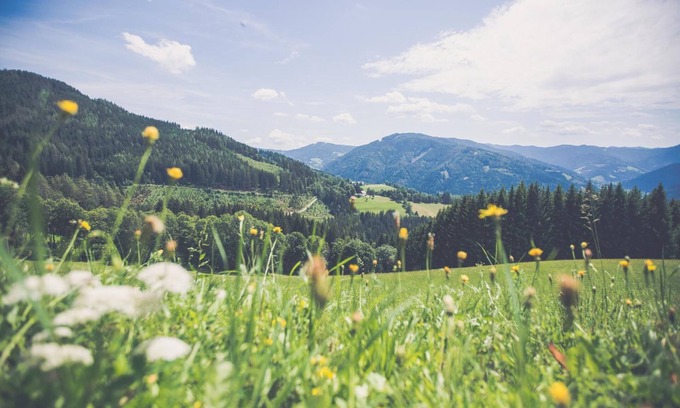 Stanz Im Murztal Hotel | Gasthof Oberer Gesslbauer