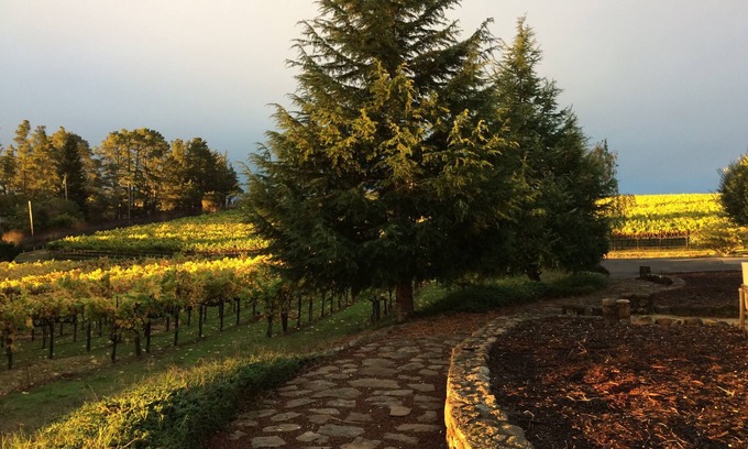 Sebastopol House | Gated Wine Country Estate Amid Hundreds of Acres of Vineyards