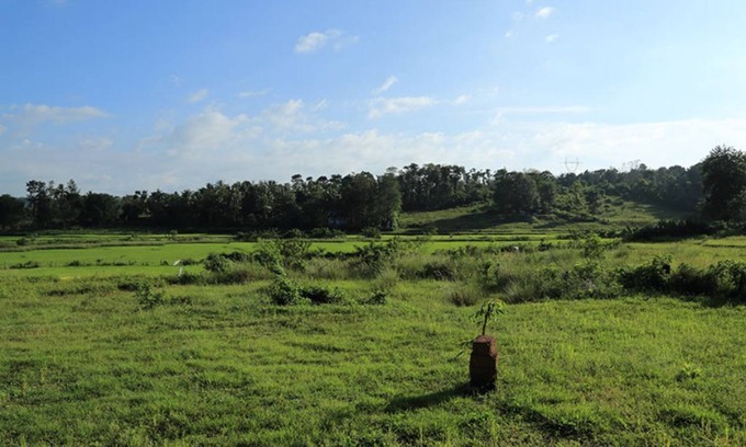 Kattikkulam Cottage | George's Cottage & Resort