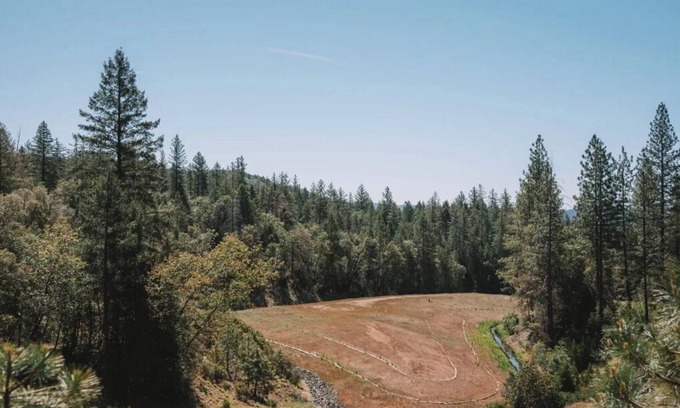 Cedar Ridge Cottage | Get lost and find yourself