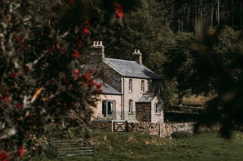 Tarset Bed & Breakfast | Gibshiel Farm Bed and Breakfast