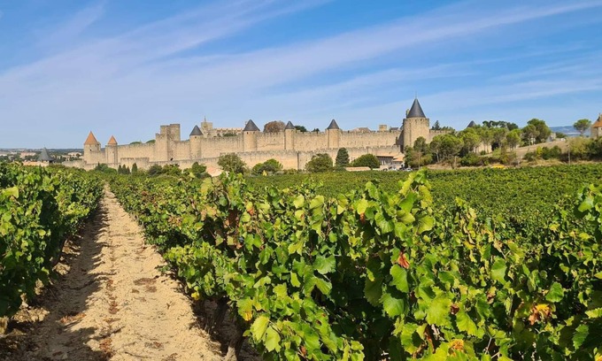 Carcassonne Cottage | Gite Domaine Fon