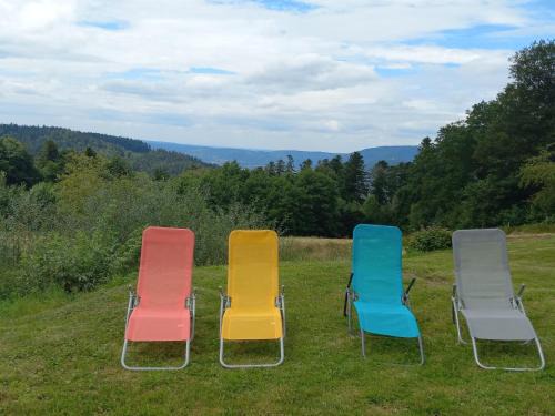 Dommartin-les-Remiremont House | GITE LA HOUBETTE VUE MAGNIFIQUE - Nature