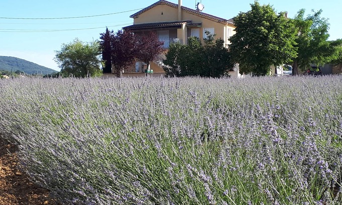 Saint-Victor-de-Malcap House | Gite Le Christol between Gard and Ardèche