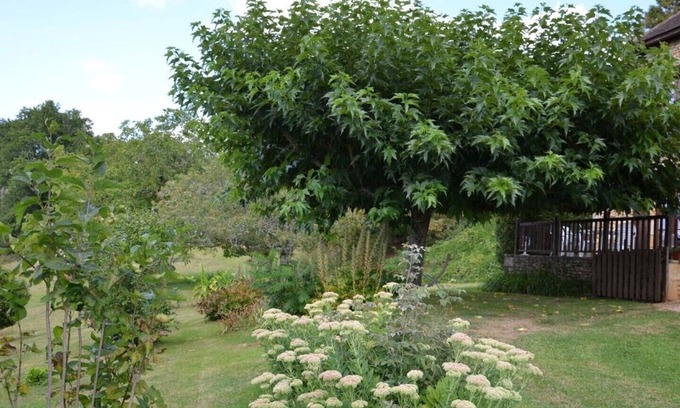 Savignac-de-Miremont House | Gite LES CYPRES - QUIET WITH VIEW OF THE SURROUNDING CAMPAIGN
