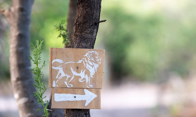 Maun House | Glamping in comfort between Maun and Moremi