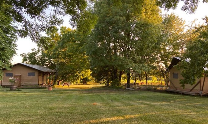 Chadenac Cabin | Glamping TENTE LODGE SAFARI DE LUXE, vue sur le coteau et vignes
