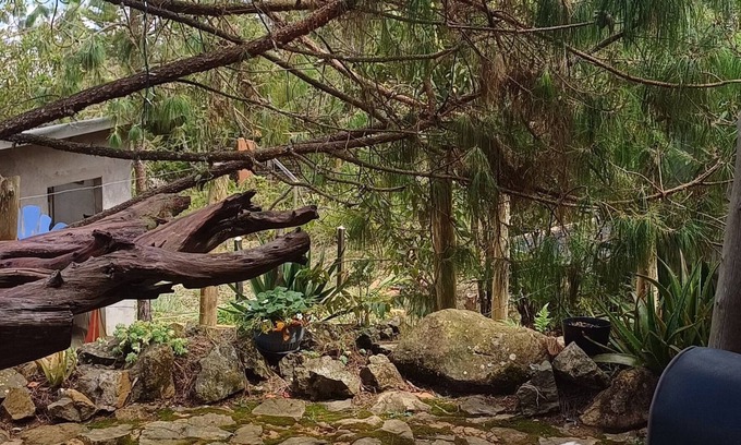 Medellin Cabin | Glamping Volver a la Tierra