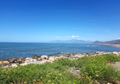 Mondragone Apartment | Gli agrumi di Nonna Peppina - Appartamento Limoni