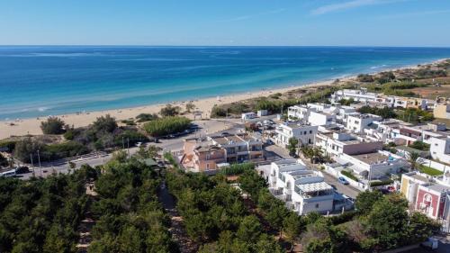 Posto Vecchio House | Gli Alfieri a Posto Vecchio
