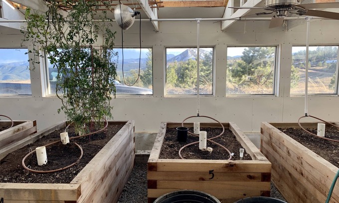 Gold Hill Apartment | Gold Hill Greenhouse and Brand New Yurt!