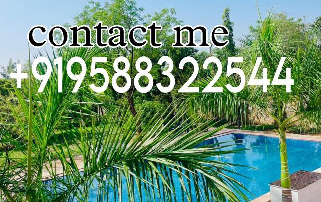Gurugram House | Golden tulip by Private Pool farmhouse Gurgaon