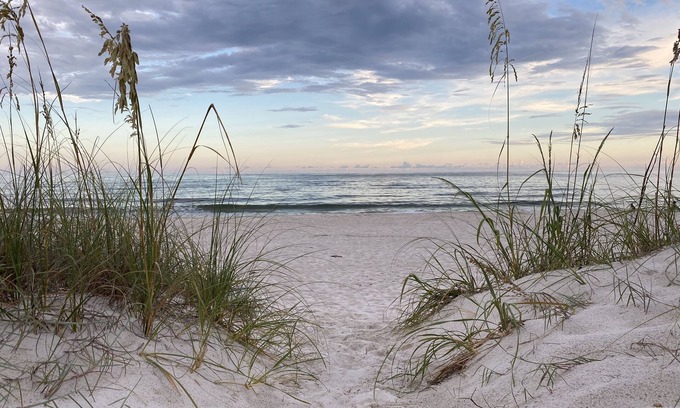 Gulf Shores Condo | Gorgeous beach house with lagoon!