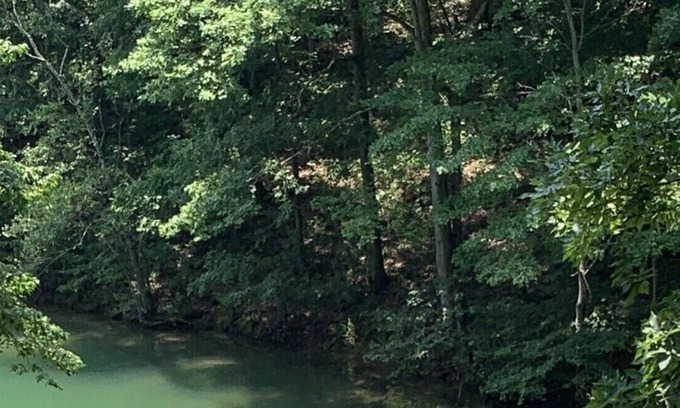 Gainesville Villa | Gorgeous Renovated Lake Front Home on Lanier sleeps 12, w dock, steps to water