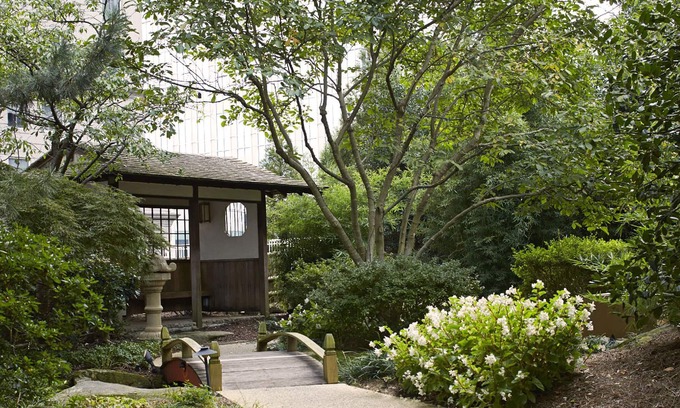 Peachtree Park Hotel | Grand Hyatt Atlanta in Buckhead