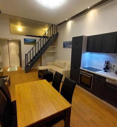 Voiron Apartment | Grand studio avec mezzanine