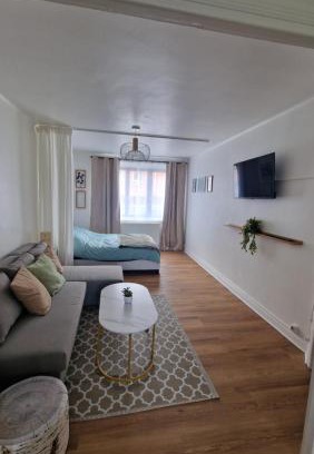 Lille-Moulins Apartment | Grand studio Lille centre