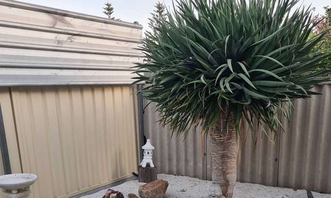 North Haven House | Granny flat - Near marina, beach, shops and train line 40 mins train to the city
