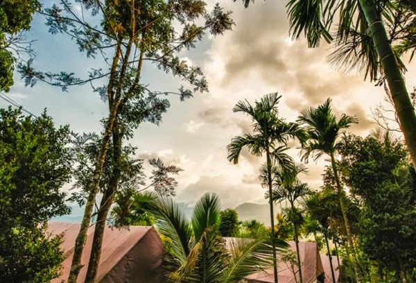 Pinangode Other | Grassroots Wayanad, Valley-view Tents