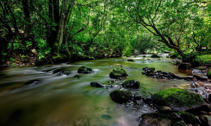 Franklin Cabin | Great Smoky Mountain Creekside Cabin