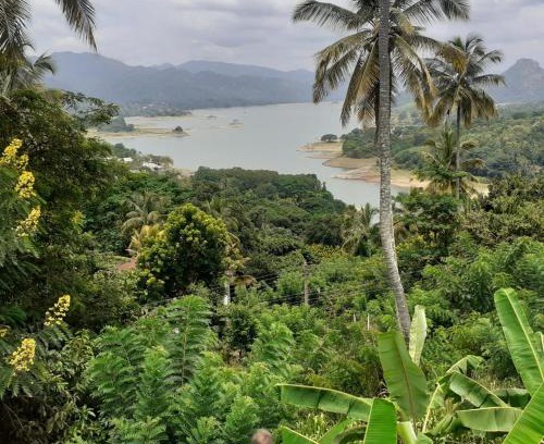 Gankewala House | Green Nature Villa kandy