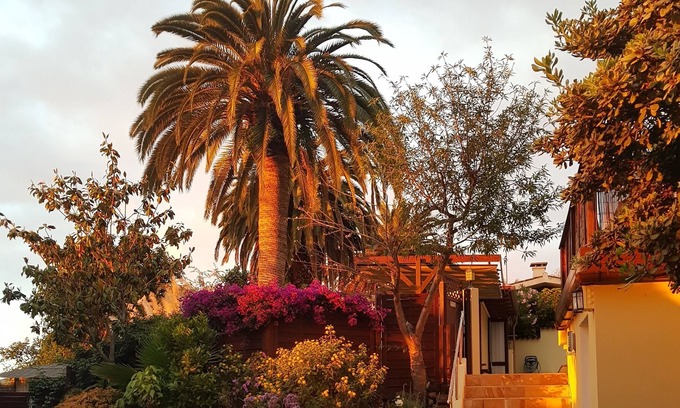 La Orotava Cabin | Green oasis in the north of Tenerife
