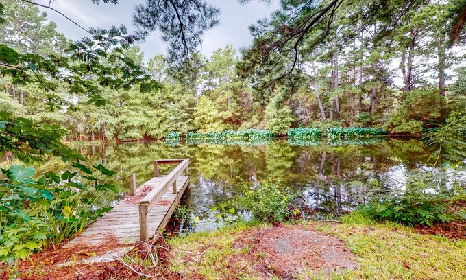 Bellville Cabin | Guest Home on 14 Acres - Vineyards, Pond & Trails - Newly Updated Kitchenette