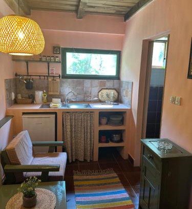 Svajcarnica House | Guest house Pikec