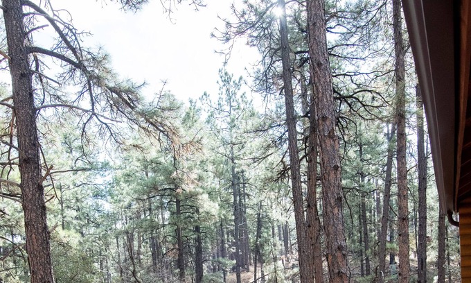 Highland Pines House | Guest house with deck in the forest west of Prescott, king bed, dog friendly