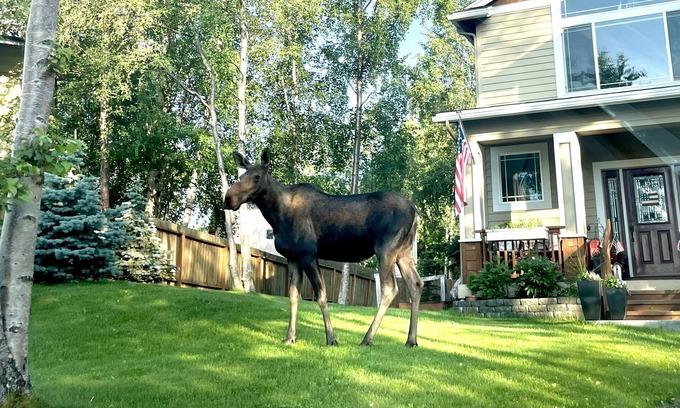 Sand Lake Apartment | Guests Love! Private & Upscale - WiFi - Washer/Dryer - Desirable Neighborhood