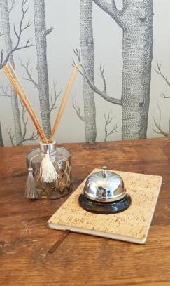 Esquieze-Sere Hotel | Hôtel Terminus