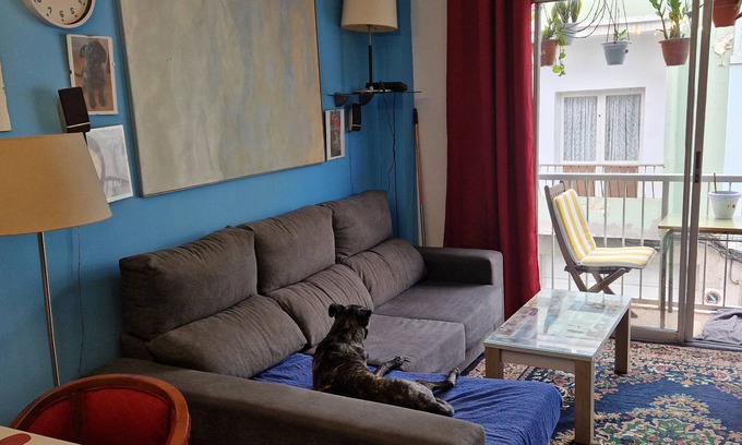 Las Palmas de Gran Canaria Apartment | Habitación con Litera y Perqueno Patio Privado. Para 2 Personas en Zona Centroco