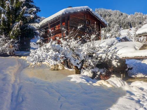 Bruson Ski Chalet | Happiness only!