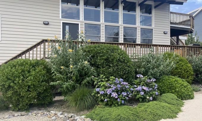 Harvey Cedars House | Harvey Cedars 4 Bedroom 2 full bath Ocean Block with Water Views