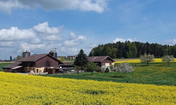 Dinhard Other | Hasler's farm