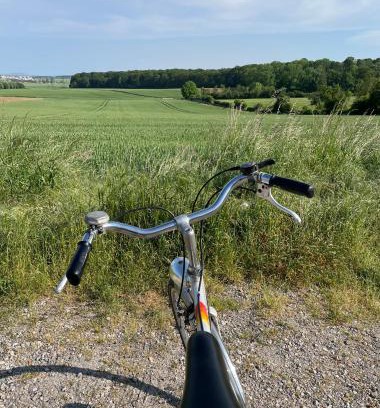 Boisemont House | Hautil room