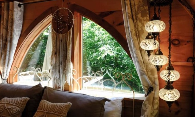 Mills River Cabin | Haven Cabin- Pond, Outdoor Fireplace & Trails!