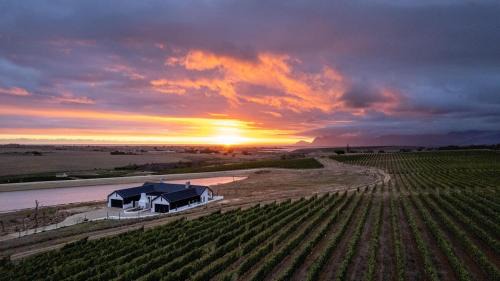 Hermanus House | Hermanus - Escape Wines - House on Wine & Protea farm