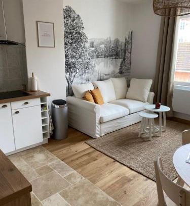 Saint-Laurent-sur-Saone Apartment | Hilo Charming Appartment Saint Laurent Sur Sane