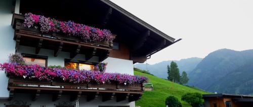 Mittersill Apartment | Hinterreithlehen - Ferienwohnung am Bauernhof
