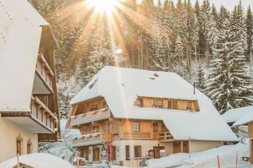 Neuglashutten Apartment | Holiday Apartements by Hotel Grüner Baum Feldberg