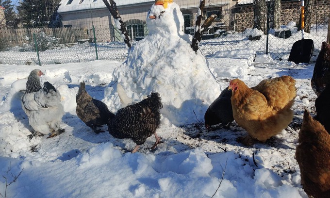 Saint-Nectaire House | Holiday Apartment "Chez L'habitant Saint Nectaire" with Mountain View, Shared Terrace & Wi-Fi