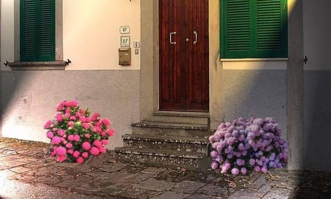 Arcidosso House | Holiday apartment Arcidosso for 4 persons with 1 bedroom - Holiday house