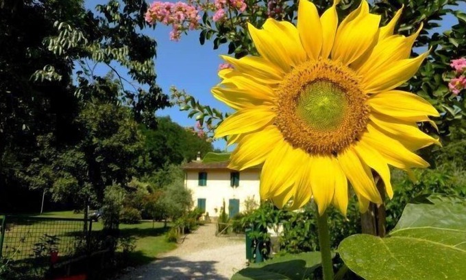 Saturnana Apartment | Holiday apartment Pistoia (Stadt) for 2 - 5 persons with 2 bedrooms - Twin house