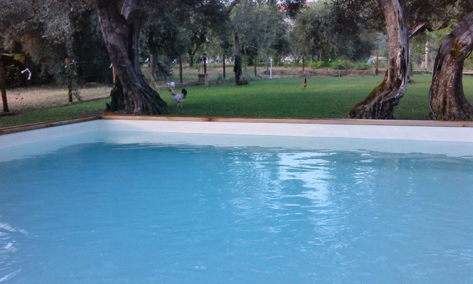 Montelovesco House | Holiday apartment Oscano for 1 - 4 persons with 1 bedroom - Holiday house